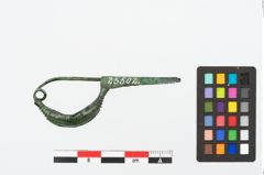 Foto von Bronzekahnfibel (NHMW-PRAE-025502)